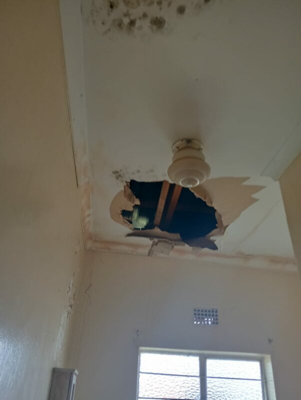 A ceiling with large holes in it is photographed at the Newcastle SPCA.