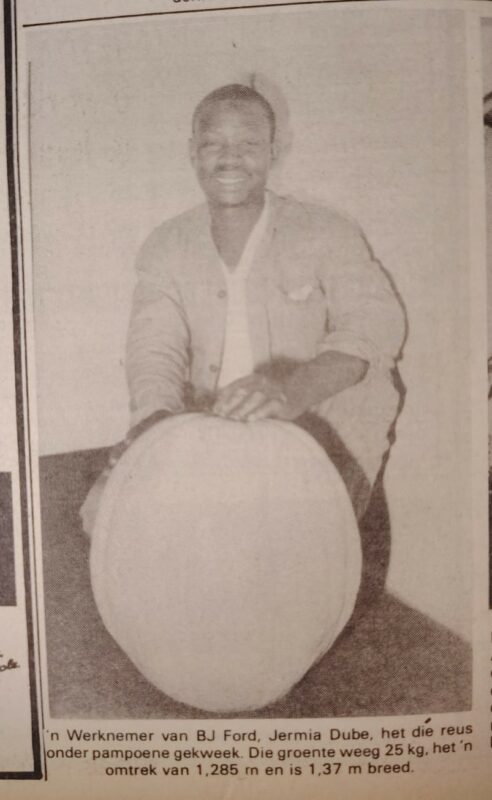 An article published in the Newcastle Advertiser of a man who grew a large pumpkin.