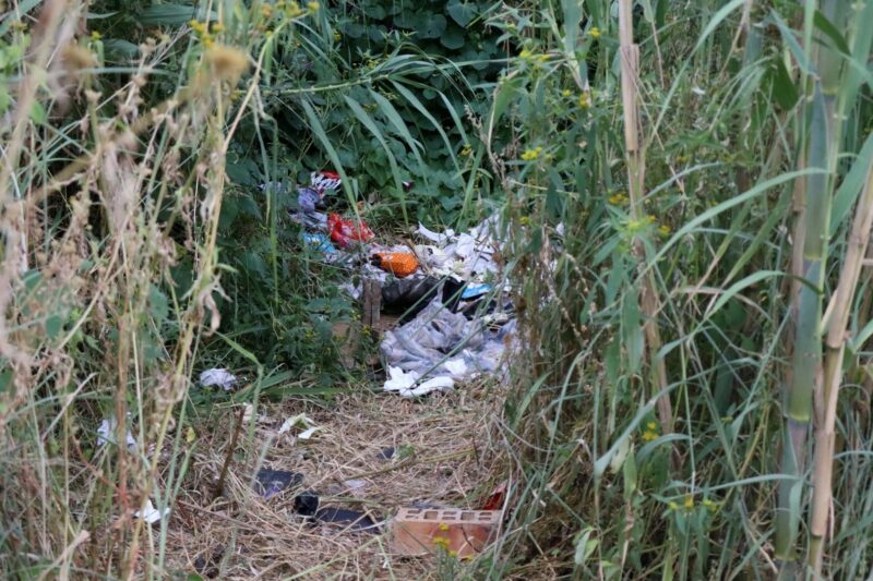 Trash and clothes in a overgrown field in Voortrekker Street. The vegetation is standing tall, and green.