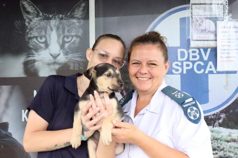 Two woman posing for a photo with a rescued puppy at the Newcastle SPCA offices.