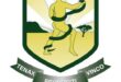 Image of Vryheid High School emblem in green and gold/yellow.