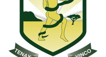 Image of Vryheid High School emblem in green and gold/yellow.