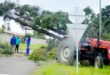 Image of workers using a tractor to remove a large tree blocking a road in Glencoe.