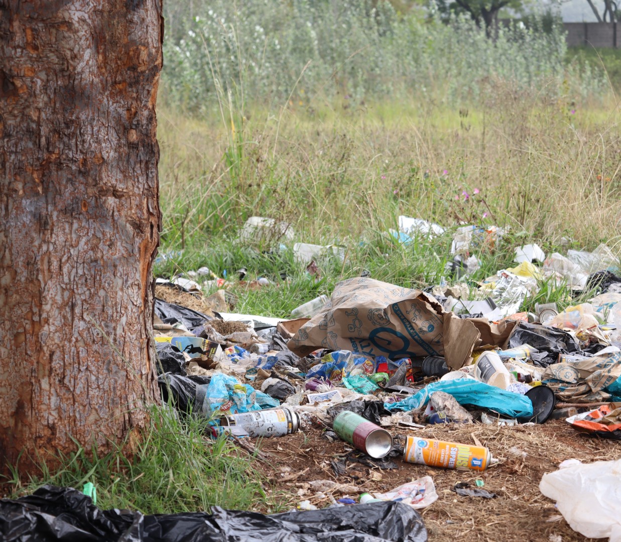 Illegal dumping of household items is photographed under a tree outside.