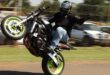 Motorcyclist performs wheelie stunt during bike rally