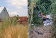 Overgrown grass and illegal dumping near Voortrekker Street parking area
