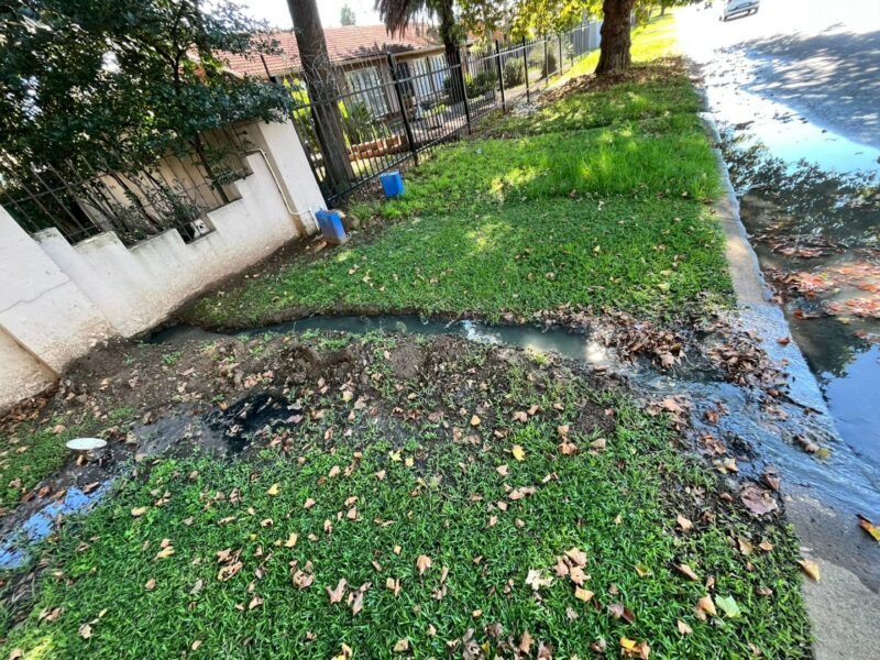 Sewage flows across grass verge into roadside drain