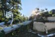 An image of a huge tree that was uprooted and fell onto the Zwane home at Vryheid Hill in the Watts area. They are seeking shelter and donations from the public.
