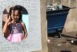 A collage of two images. The main image is of a blue municipal skip bin behind a light grey brick wall. the second image is of a young girl wearing asparkly pink dress.