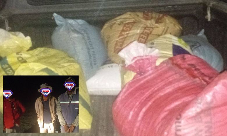 Farm watch team arrests 3 suspected maize thieves | Northern Natal News