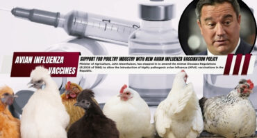 A main background image of vaccine bottles and injections. In the forefront is a row of various colour chickens. In the framed circle is a photo of Minister of Agriculture, John Steenhuisen.