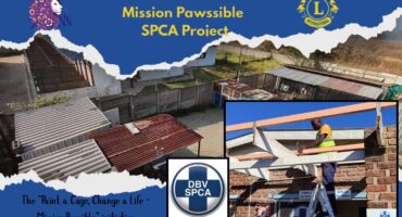The Newcastle Lions Club and SPCA innitiative. the photo is outlined with a bold blue banner with multiple text on it as well as two photos inside a box.