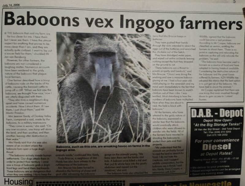 An old Newcastle Advertiser Newspaper Clipping.