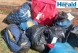 Image of bags of dagga.