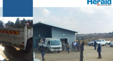 An image of a group of foreign nationals that were removed by the Bhekuzulu community members from Mbilombovu hall on June 30.