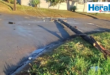 Image of an electricity pole cut down after cable theft.