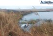A photo of a white vehicle in a dam surrounded by weeds and grass roots.