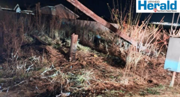 Image of cut electrical pole.