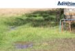 A photo of a play park submerged in water. Also seen in the photo is park equipment and a precast wall.