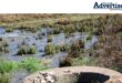 A field in flooded with sewerage water in Newcastle.