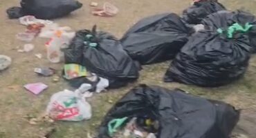 Image of opened black refuse bags on a sidewalk.