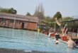Image of a man diving into a pool.