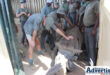 One of the rhinos being transported from KZN to Botswana.