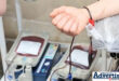 An image of an arm while donating blood in a blood bank.