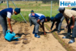 An image of KwaNotshelwa High School learners revamping the school garden by planting 110 seeds of various vegetables.