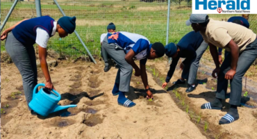 An image of KwaNotshelwa High School learners revamping the school garden by planting 110 seeds of various vegetables.