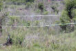 A cordoned off crime scene area in a field.
