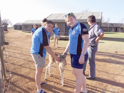 Chané Fourie en Marné de Bruin voer die mak bokkie by Villa Maroela.