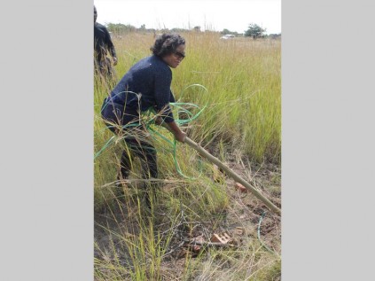 Polokwane's hands-on municipal manager, Conny Mametja, takes the initiative of removing stakes planted by people illegally claiming land they intend to occupy on the Matlala road. Photo: Riana Joubert
