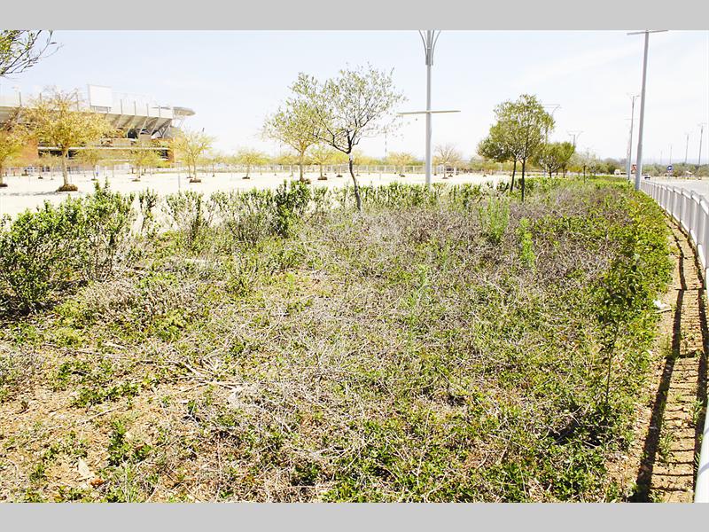 The Polokwane Municipality blames the poor state of the gardens at the Peter Mokaba Sports Complex on the change of season.