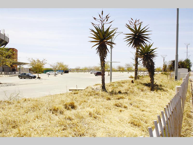 According to the municipality, the grass at the Peter Mokaba Sports Complex must grow "high and dry".