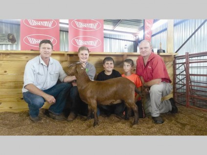 Albie Horn (verkoper) en Allan SInclair (afslaer) saam met die duurste Kalahari rooi ooi wat op die veiling vir R20 000 verkoop is.