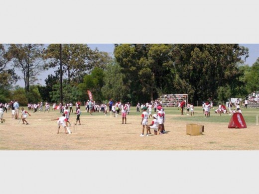 Primary schools learners from all corners in the province will paint the Polokwane Cricket Club red and white during the annual KFC Mini-cricket Provincial Festival on Saturday.