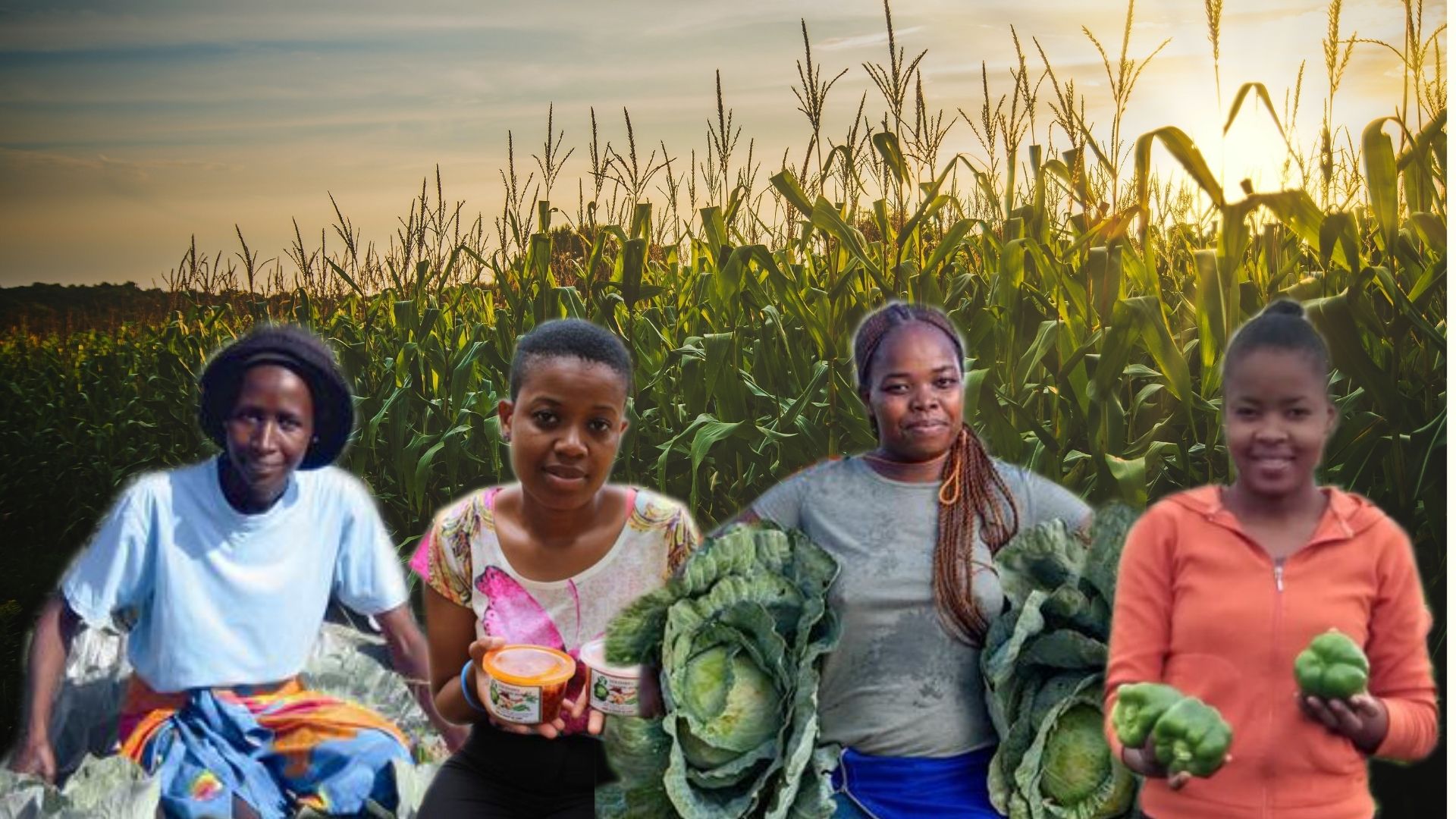 These rural women deserve to be celebrated | Review