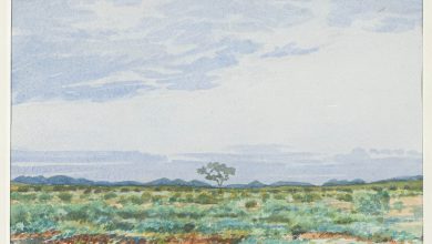 Adolph Jentsch; S.W. Afrika