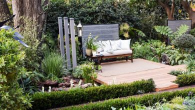 AliceCoetzee- 12-11-2021 - gardening - summer garden show photo 1 (Medium)