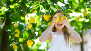 Plant your own "first aid kit" to boost your child's immunity