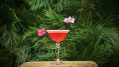 emily-andreeva--bdbVAer7nI-unsplash