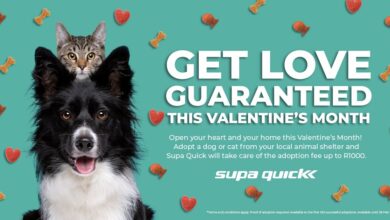 Media 1-CC87CE43-A862-4BB7-B6F6-1AFF4F3A075F