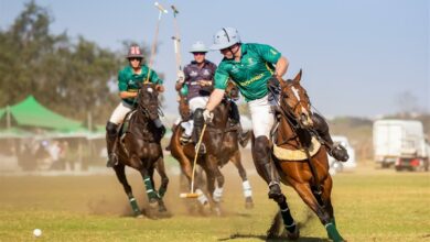 Nedbank International Polo 3 (Medium)