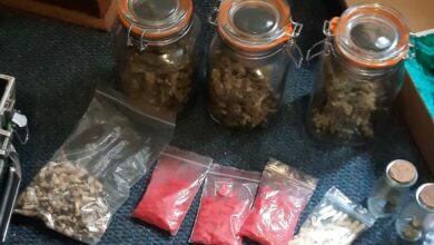 Bendor drug bust