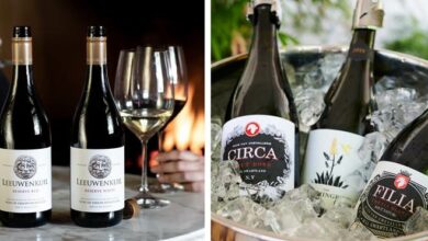 ElanaWagner-08-04-2022-Travel-Swartland.3