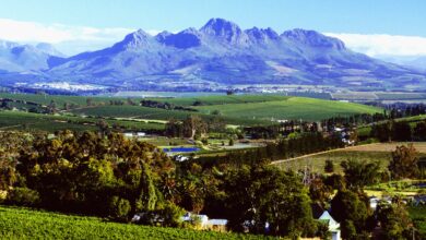 ElanaWagner-13-04-2022-Travel-Stellenbosch.1
