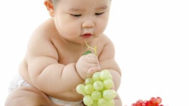 Does a chubby baby predict future obesity?