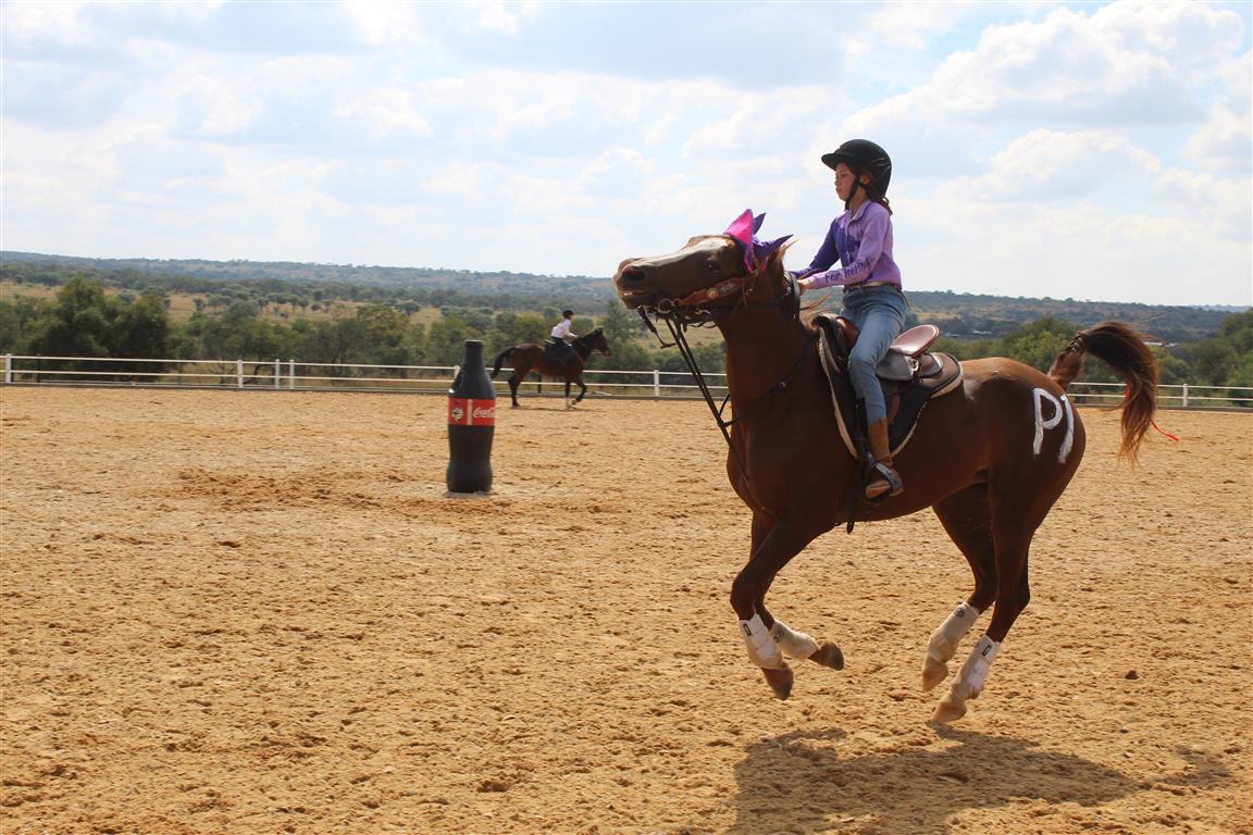 3D Barrel Racing qualifiers at The Ranch a success | Review