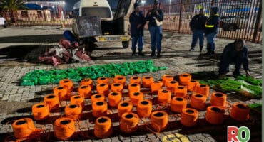 Illegal explosives laid out on the ground by police.